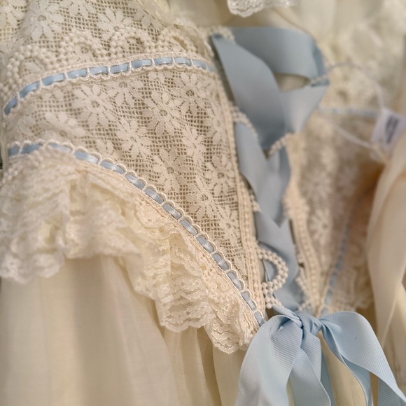 Lacemade Hydrangea Corset and Dress BNWT - Picture 8 of 16